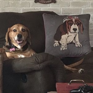 Meet your Posher, Amy